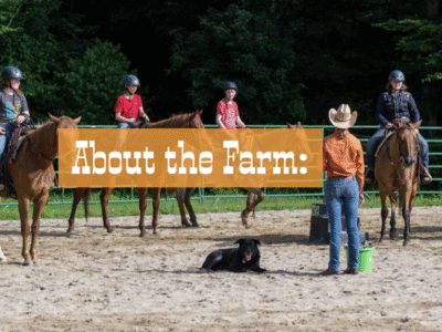 JAKS Stables